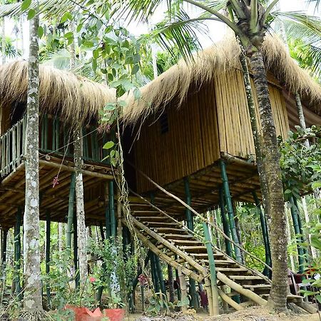 Greenways Tree House And Mud House Chegāt Zimmer foto