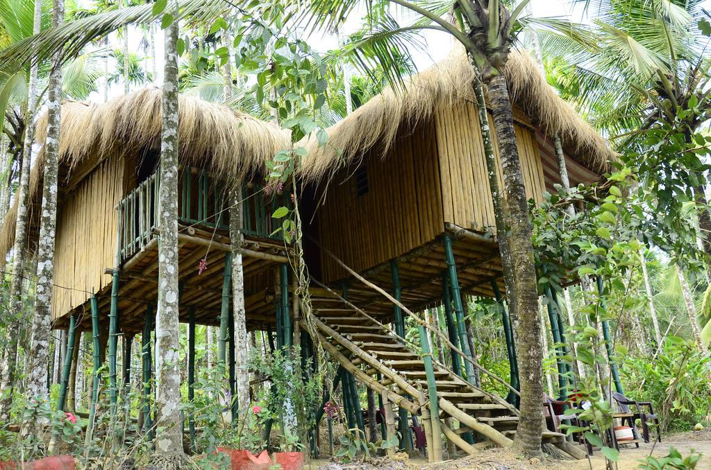 Greenways Tree House And Mud House Chegāt Zimmer foto